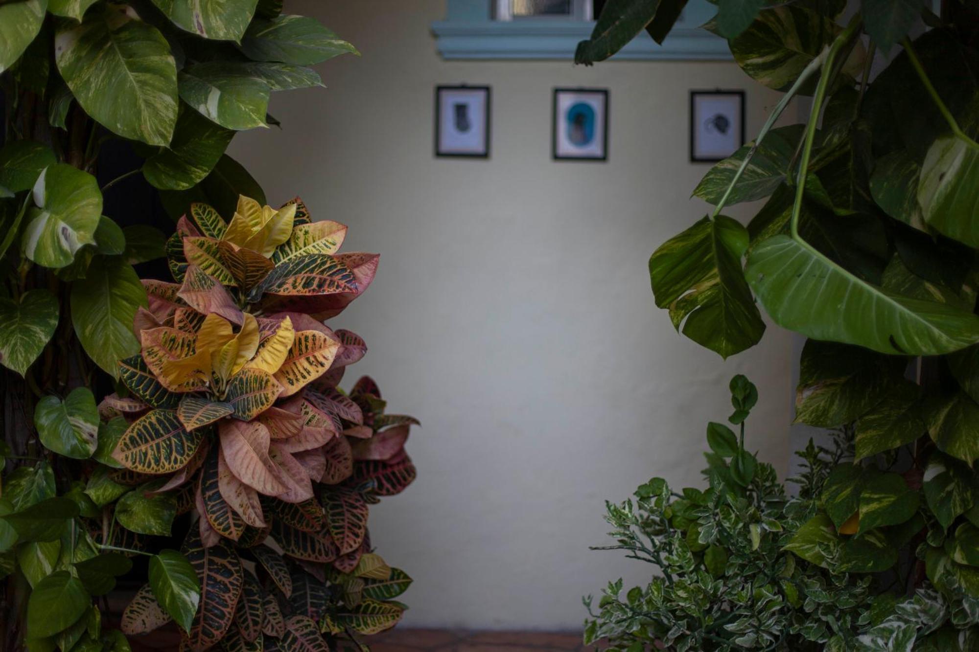 Hotel Santa Ana Mérida Kültér fotó